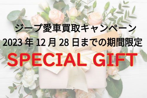 SpecialGift.jpg